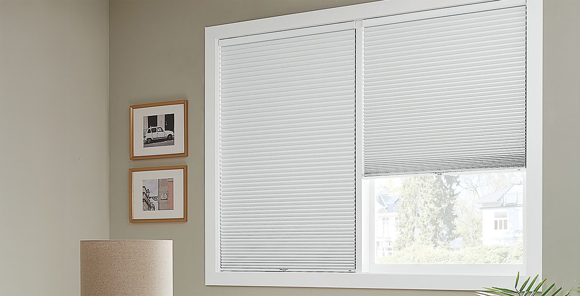 Double Cell Cellular Shades